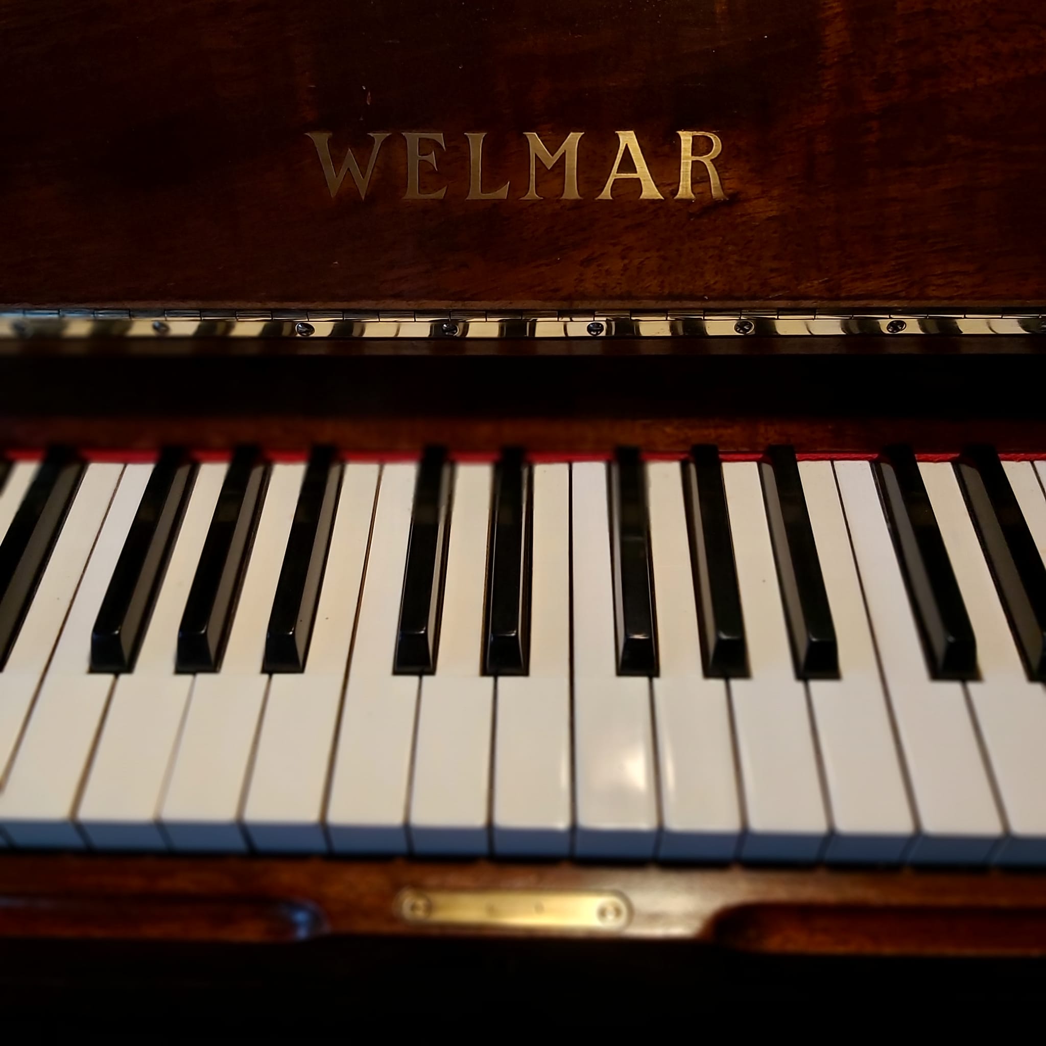 Welmar walnut